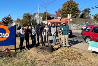 Tree planting in Providence